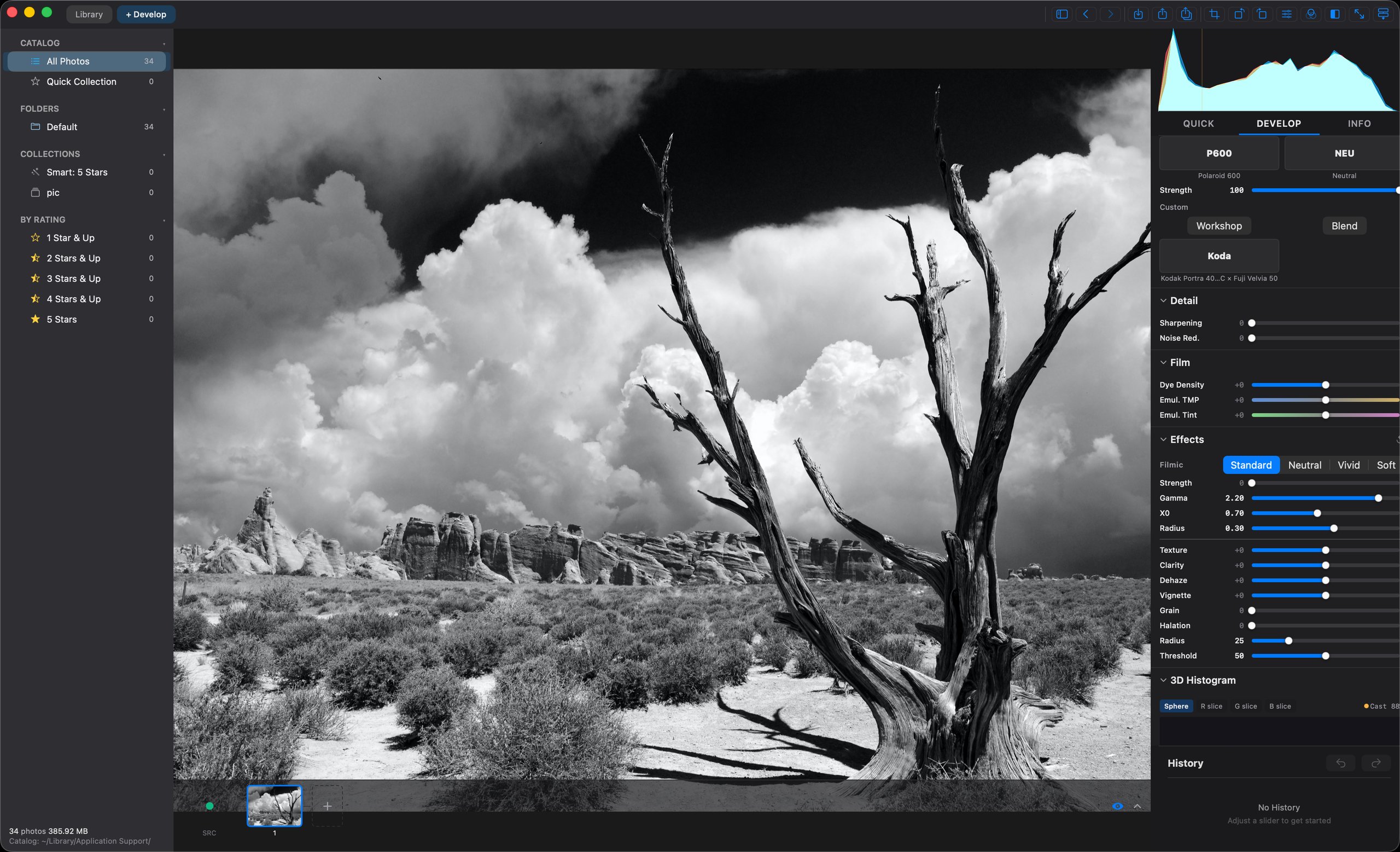 Film simulation — silver-halide grain, halation, and dye density